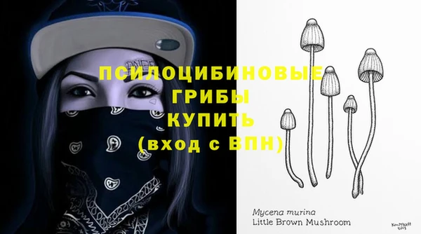 крисы Россошь