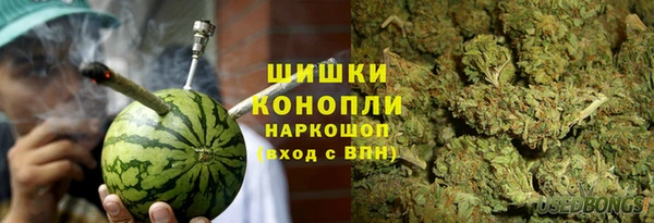 мдпв Протвино