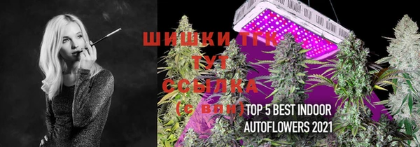 мяу мяу мука Пролетарск