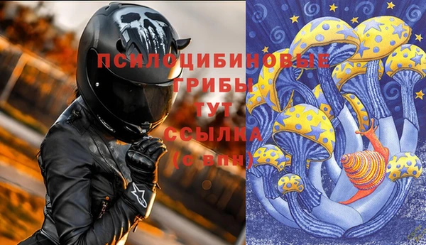 мдпв Протвино