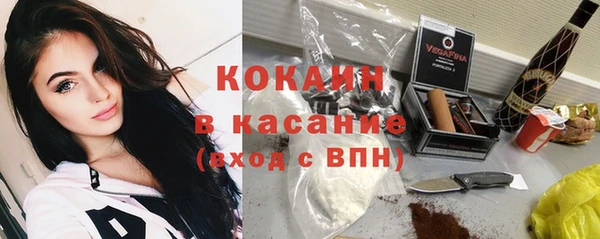 мдпв Протвино