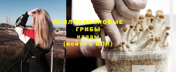 мдпв Протвино