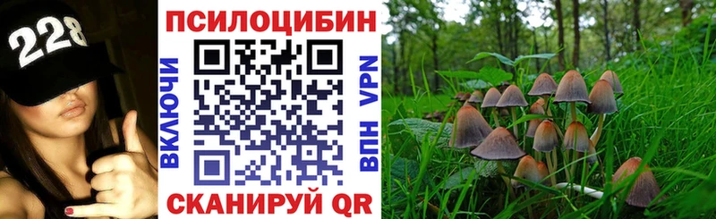 Купить закладки Шимановск Псилоцибиновые грибы MAGIC MUSHROOMS